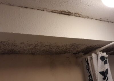 Mould in bedroom walls at gutter level – Ilford, East London