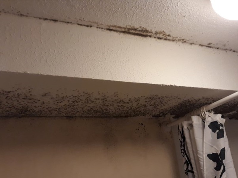 Mould in bedroom walls at gutter level – Ilford, East London