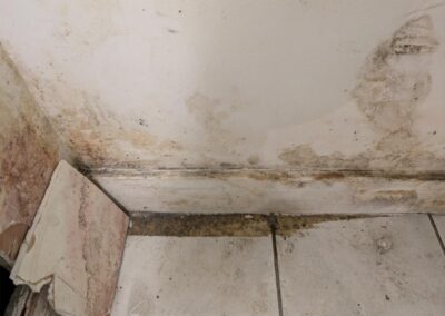 Mould in Basement Apartment – West London