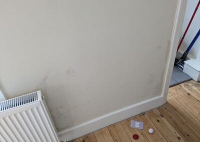 Damp arising internally in internal walls – South East London