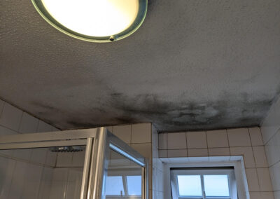 Mould bathroom ceiling