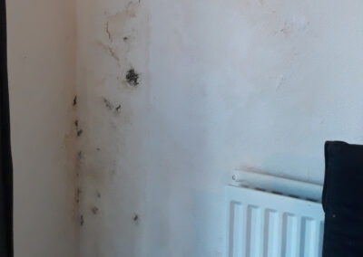 Damp in the upstairs flat lounge wall